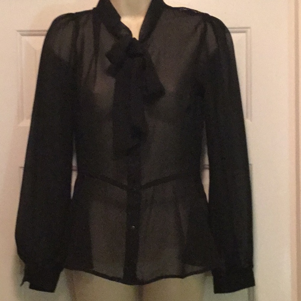 Sheer Long sleeve blouse